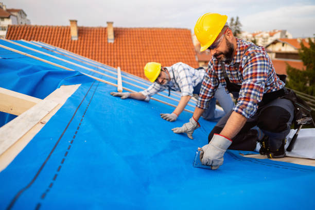 Best Metal Roofing Contractor  in Jan Phyl Village, FL
